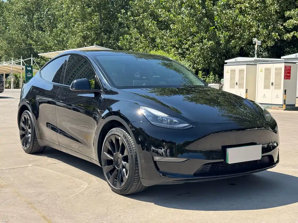Tesla Model Y — миниатюра 3