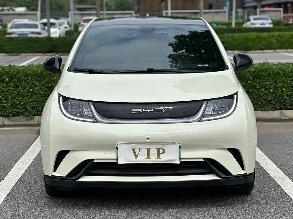 BYD Dolphin — миниатюра 2
