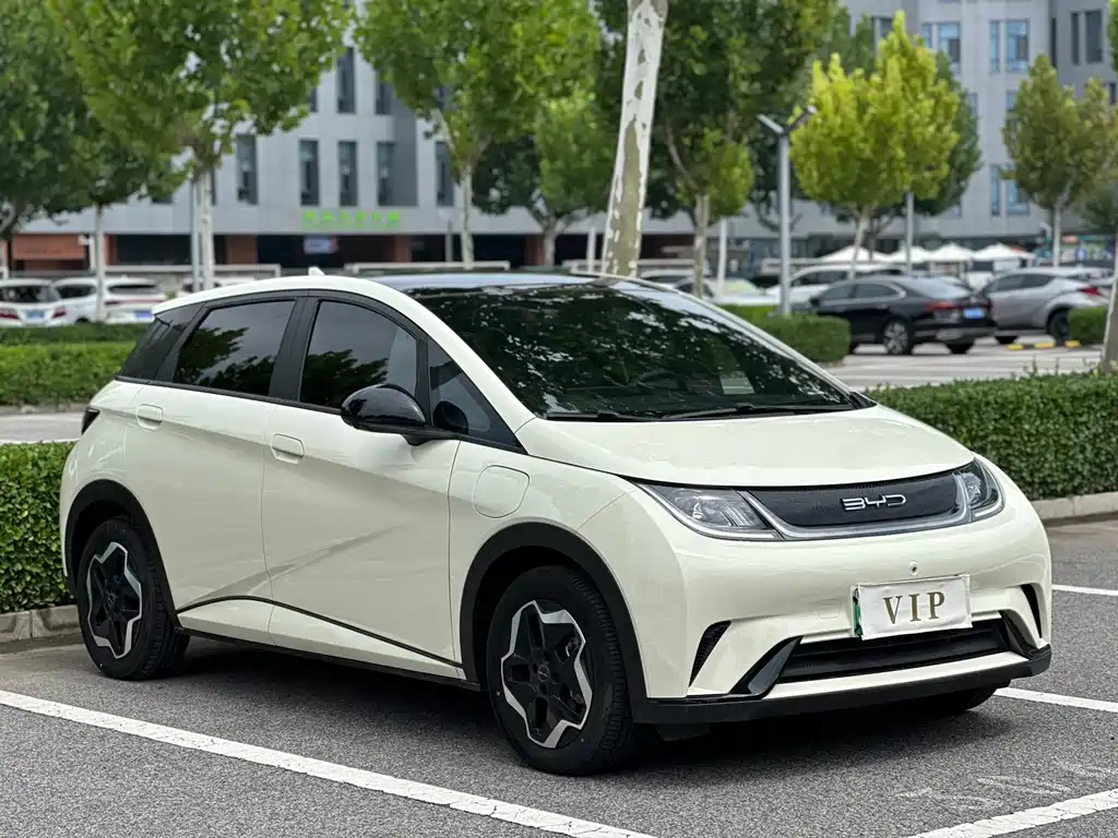 BYD Dolphin — миниатюра 3