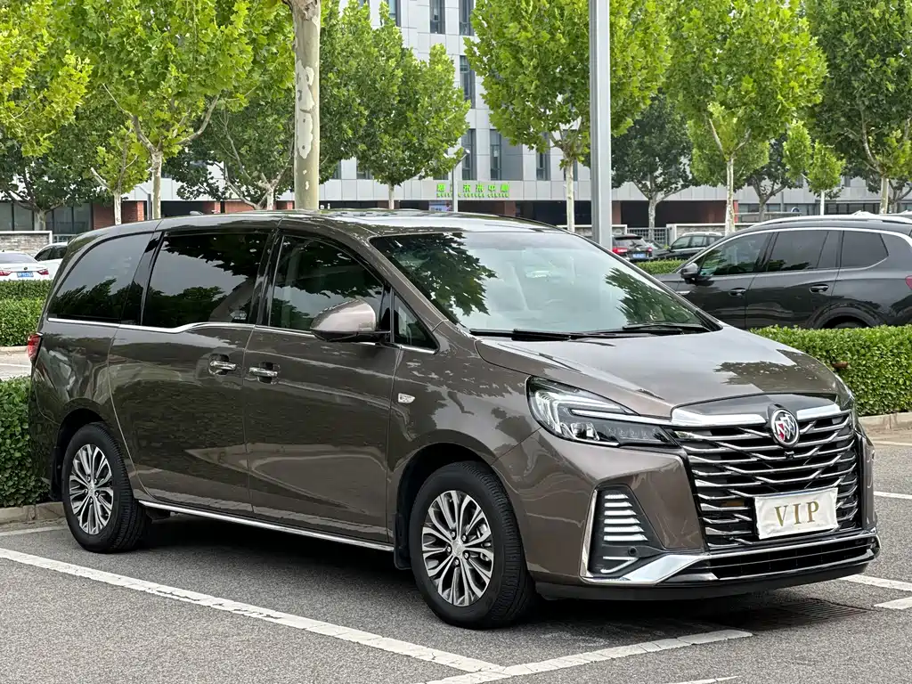 Buick GL8 — миниатюра 3