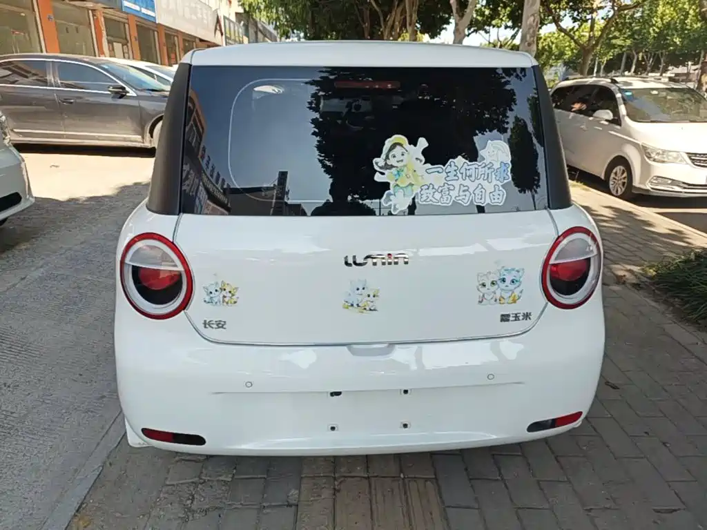 Qiyuan Lumin — миниатюра 6