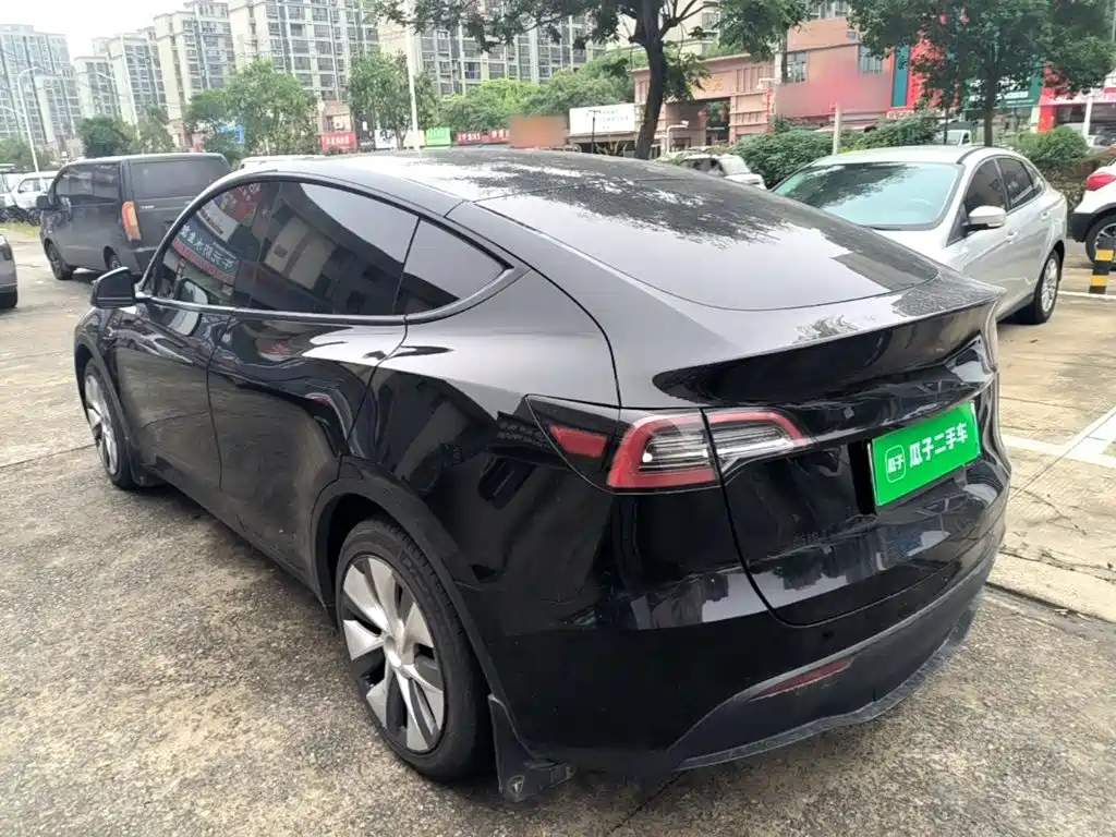 Tesla Model Y — миниатюра 5