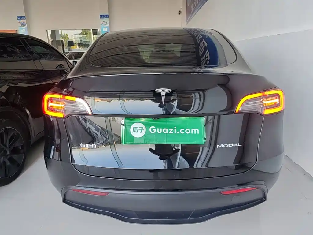 Tesla Model Y — миниатюра 6