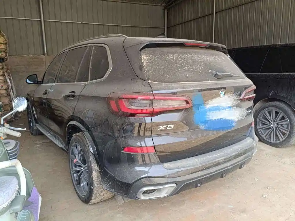 BMW X5 2022 xDrive 30Li Premium M Sport