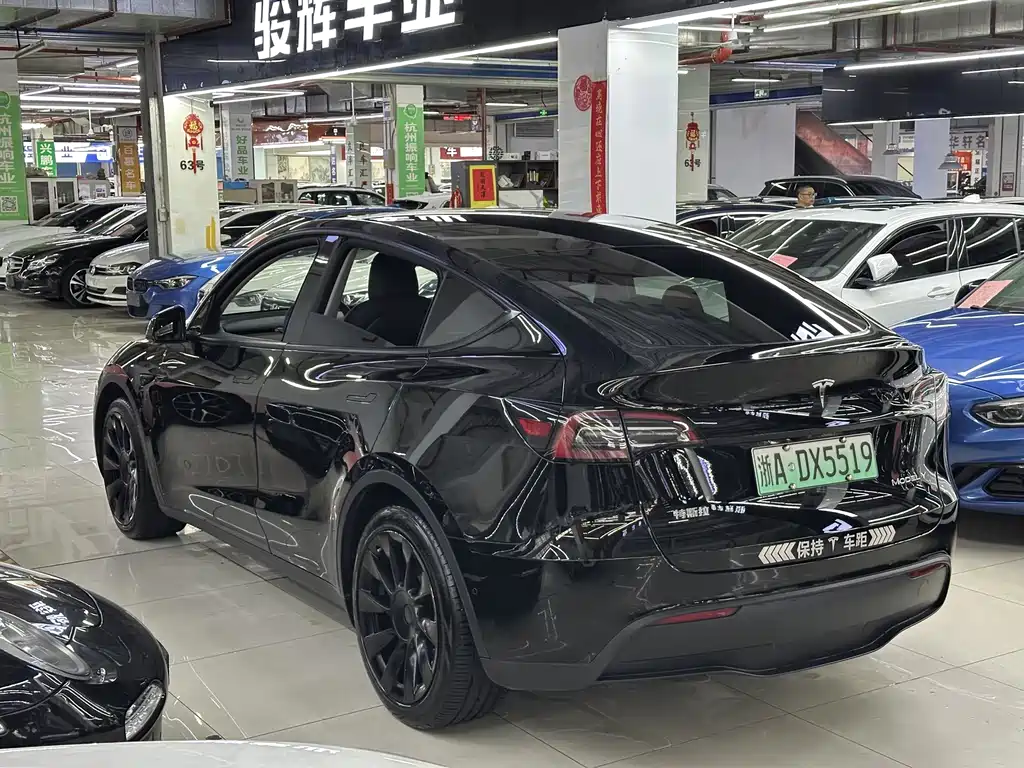 Tesla Model Y — миниатюра 11