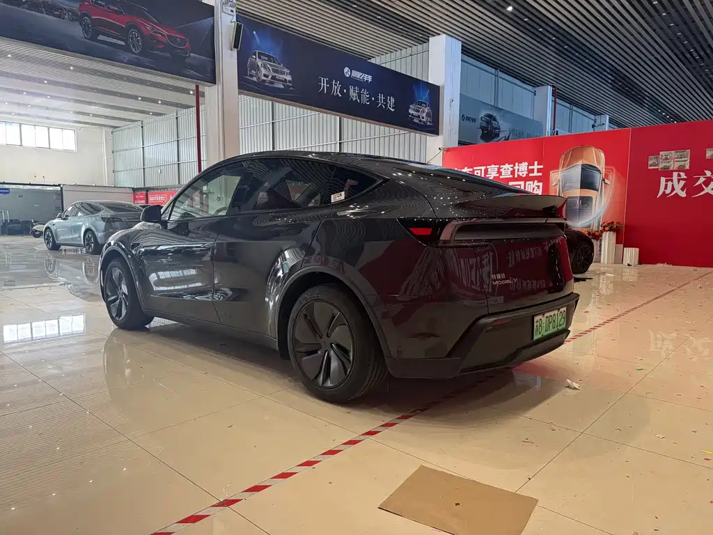 Tesla Model Y — миниатюра 6