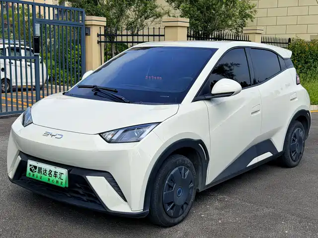 BYD 海鸥