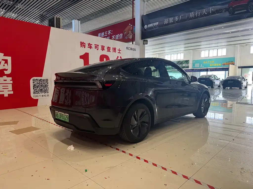 Tesla Model Y — миниатюра 4