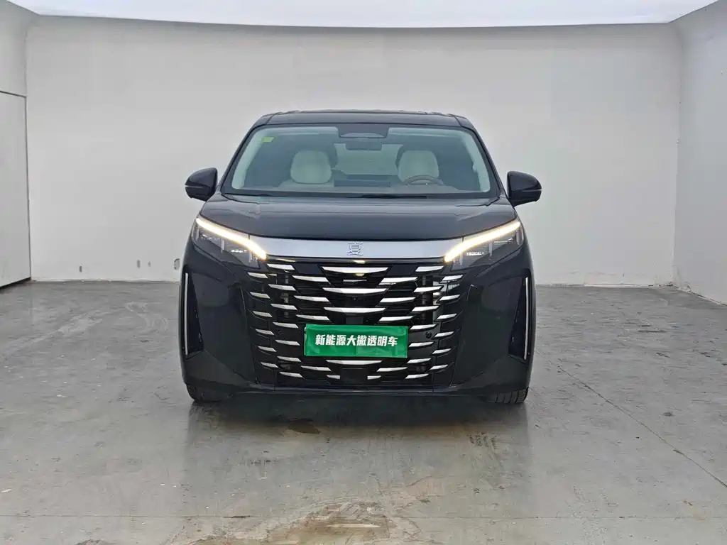 BYD Xia — миниатюра 2