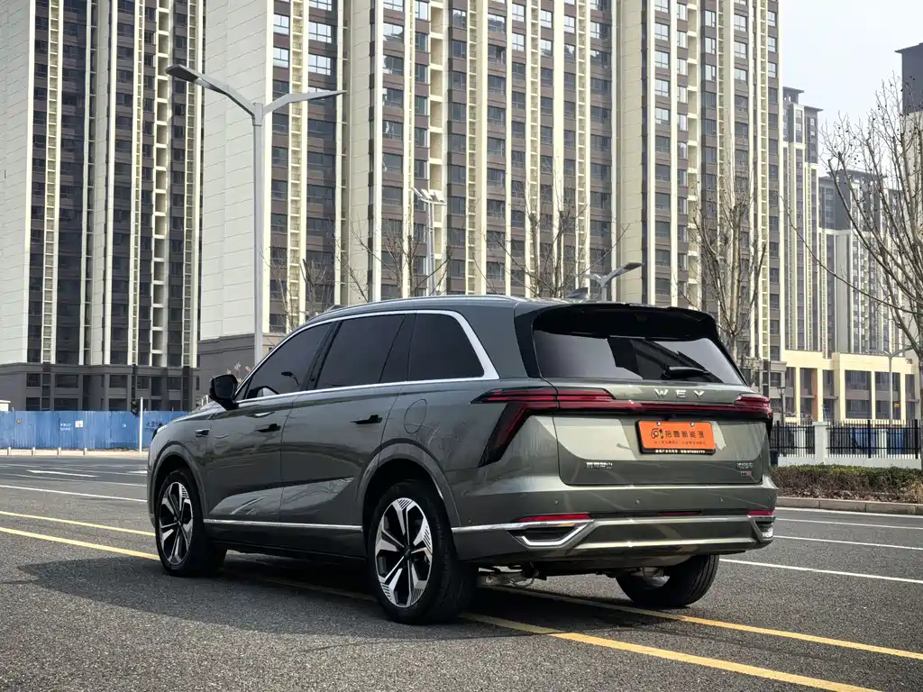 WEI PAI WEI BRAND BLUE MOUNTAIN