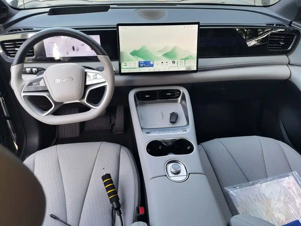 BYD Sealion 06 — миниатюра 10