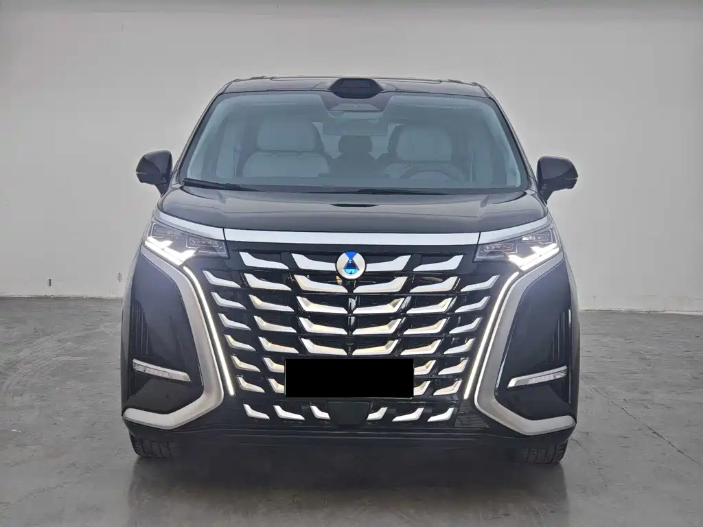 Denza Denza D9 — миниатюра 2