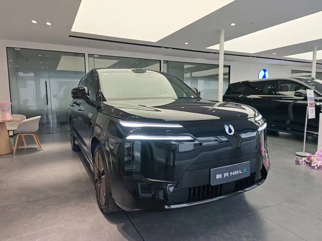 Denza Denza N8L — миниатюра 3