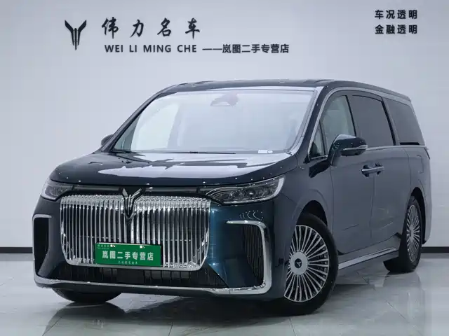 2024 Voyah Dream