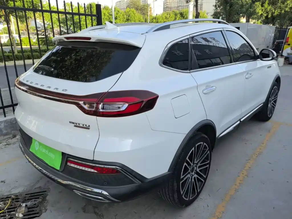 Leopaard Mattu — миниатюра 7