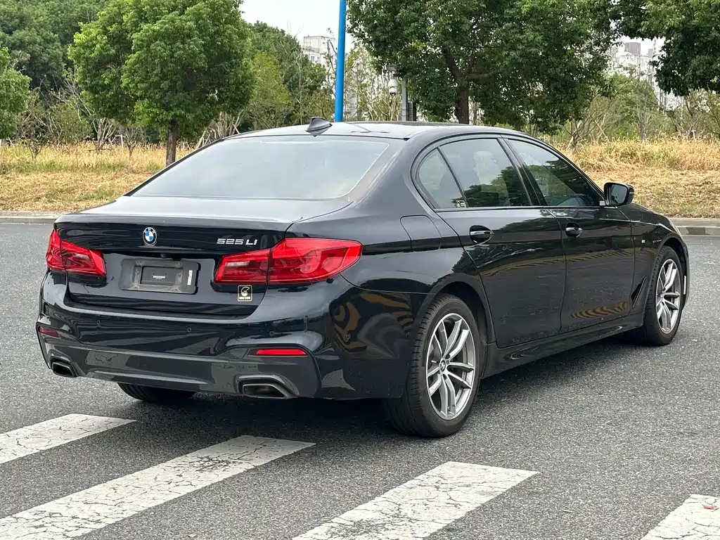 BMW 5 Series — миниатюра 5