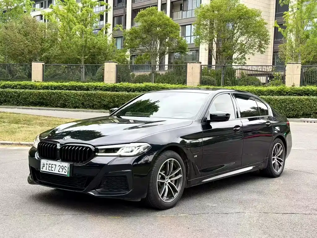 BMW 5 Series New Energy 2020