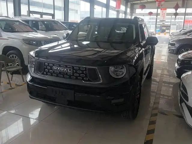 HAVAL  SECOND GENERATION BIG DOG 2023