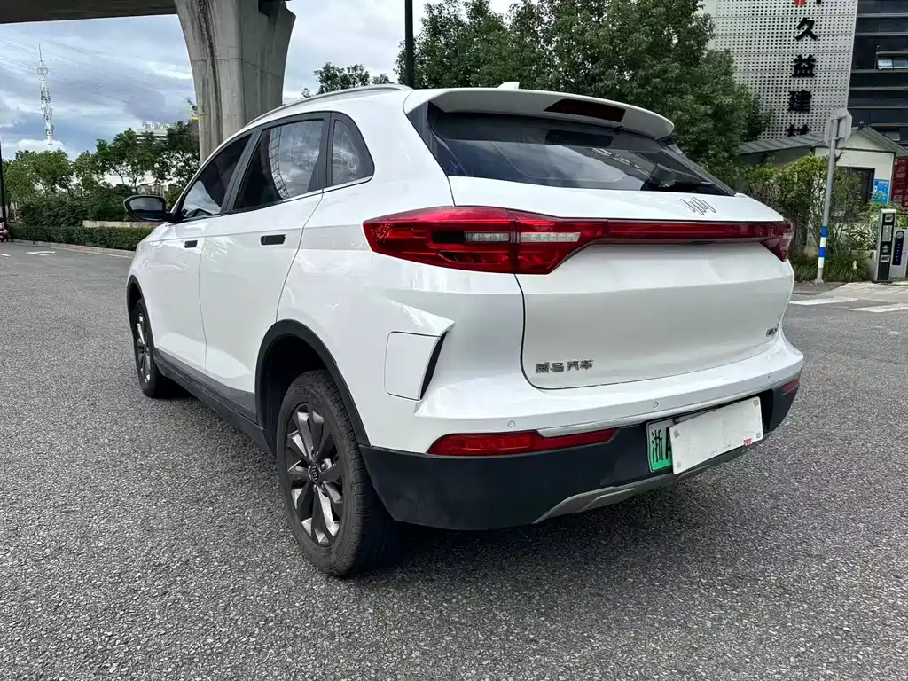 WM Motor EX5 — миниатюра 7