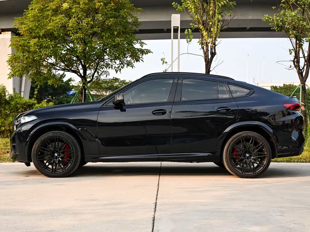 BMW X6 M — миниатюра 3