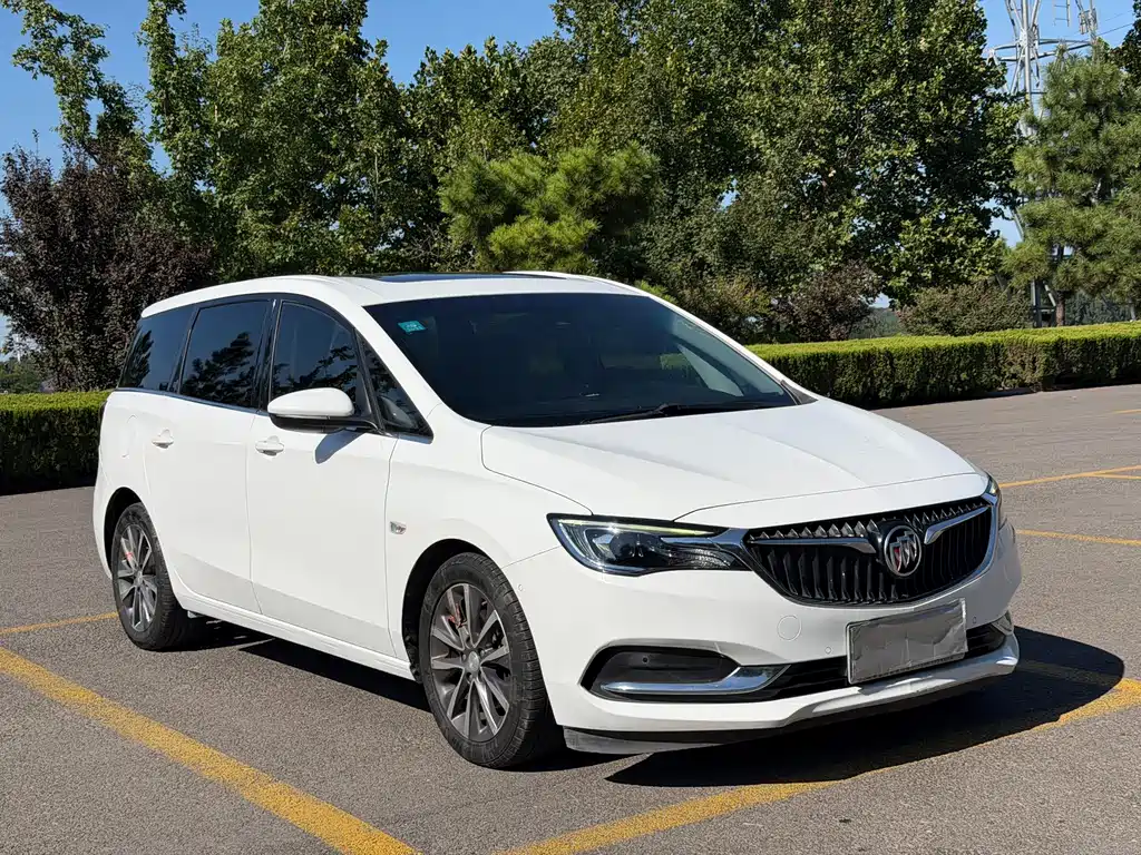 Buick GL6 — миниатюра 11