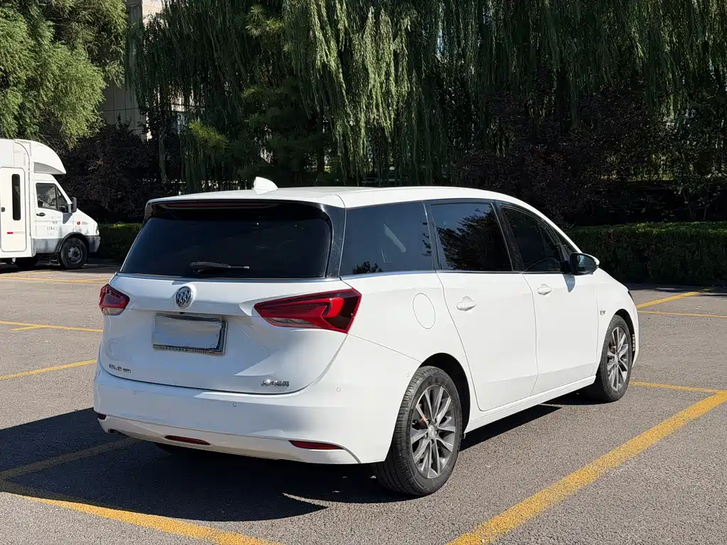 Buick GL6 — миниатюра 14