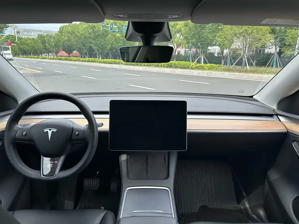 Tesla Model Y — миниатюра 8