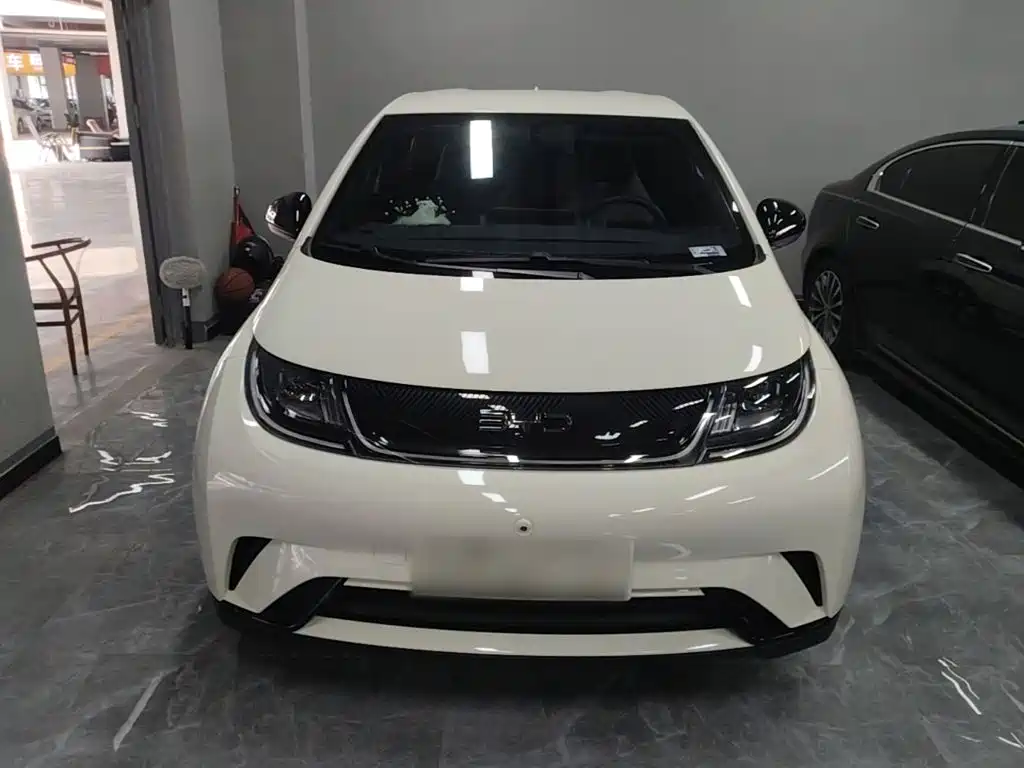 BYD Dolphin — миниатюра 3