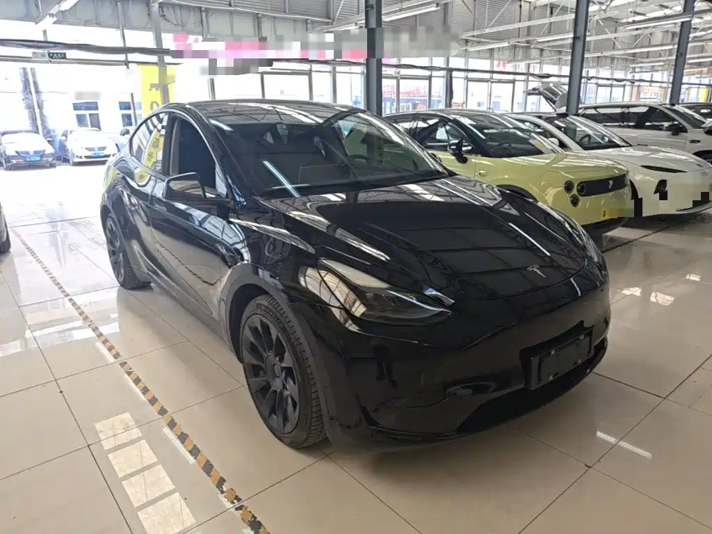 Tesla Model Y — миниатюра 4