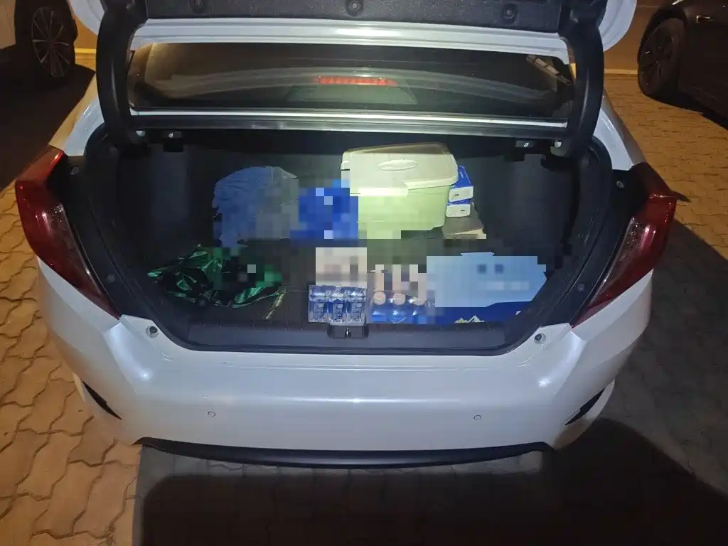 Honda Civic — миниатюра 15