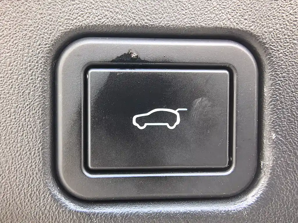 WEI PAI WEI BRAND BLUE MOUNTAIN