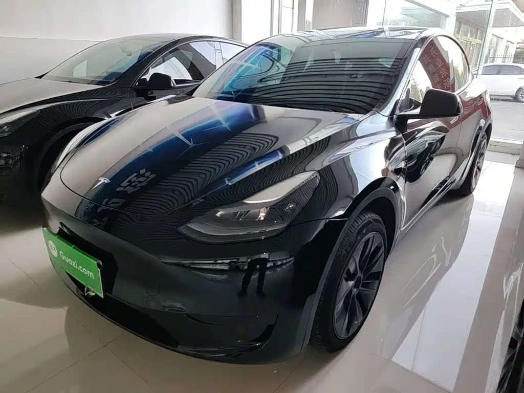 Tesla Model Y — миниатюра 2