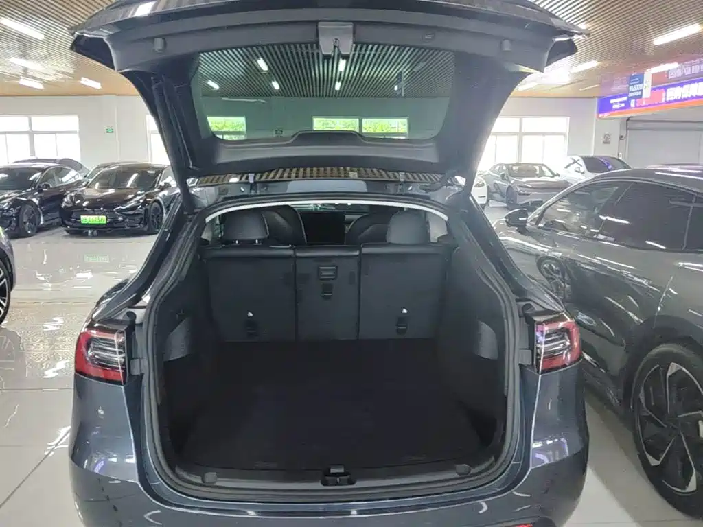 Tesla Model Y — миниатюра 19