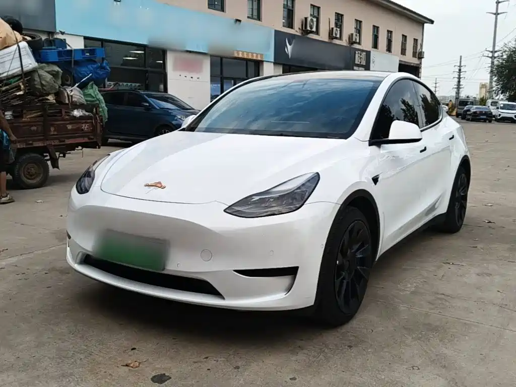 Tesla Model Y — миниатюра 2