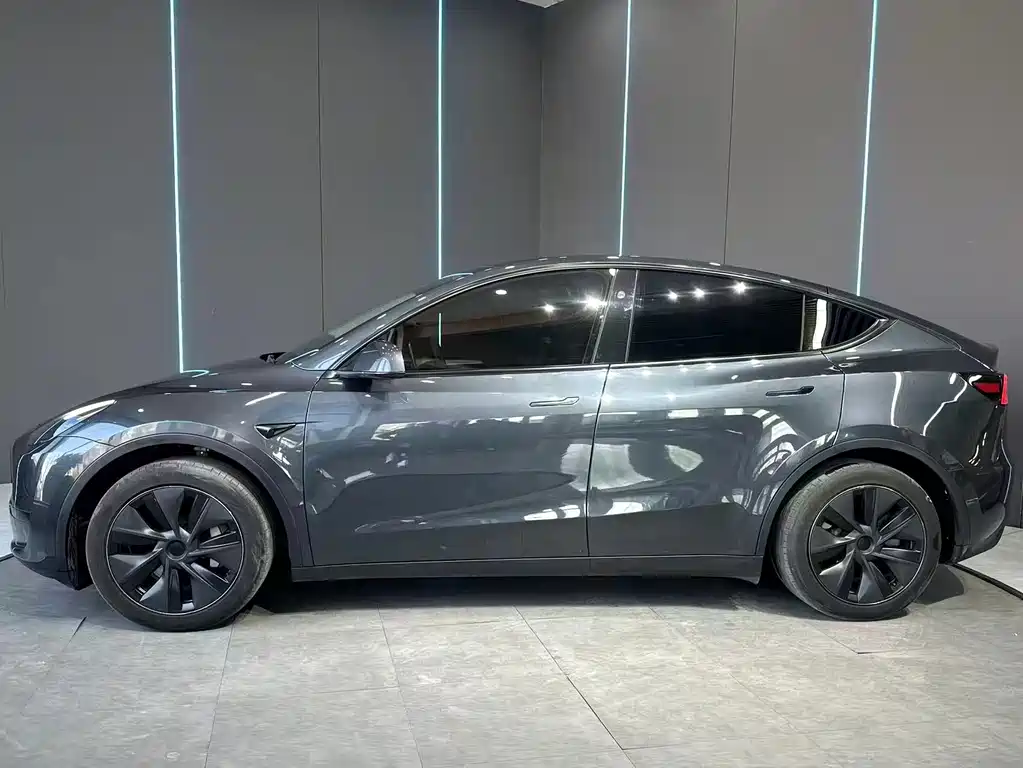 Tesla Model Y — миниатюра 4