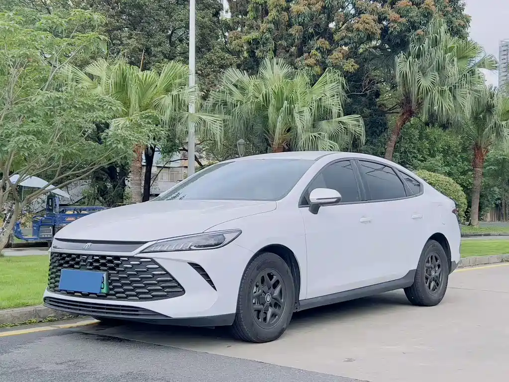 Byd Qin PLUS 2025