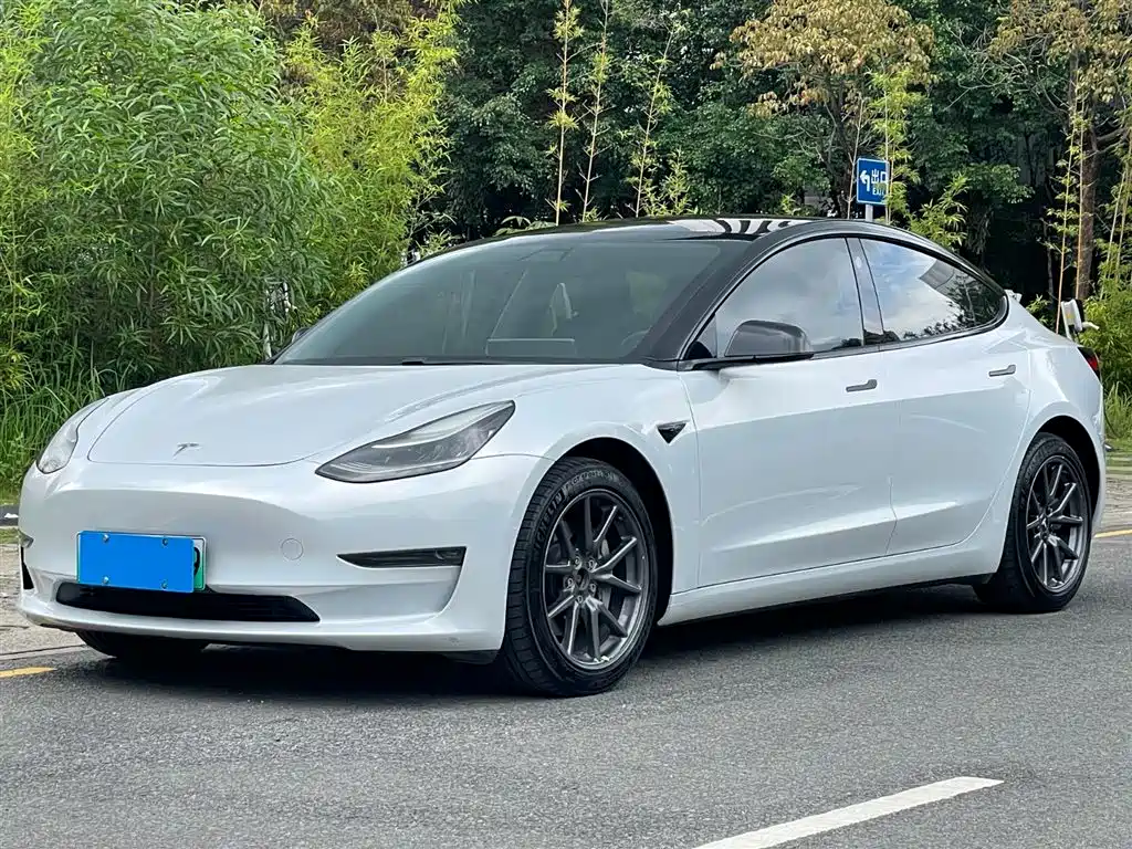 Tesla Model 3 2019