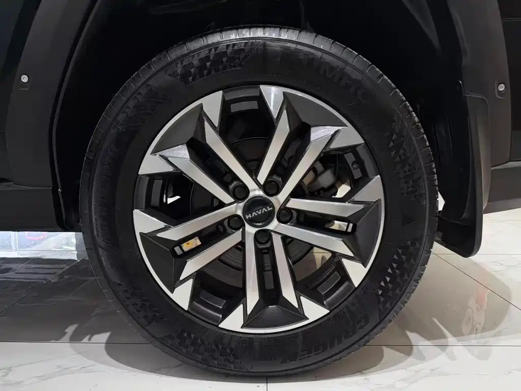 Haval Big Dog PLUS — миниатюра 18