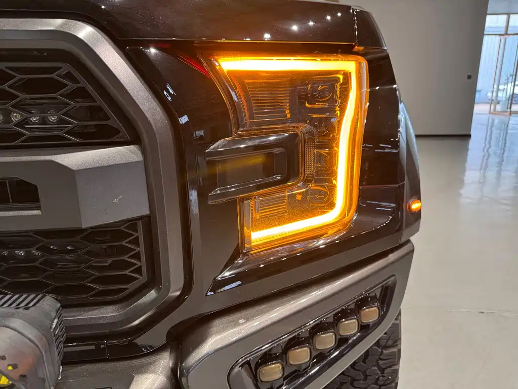 Ford F-150 Raptor — миниатюра 10