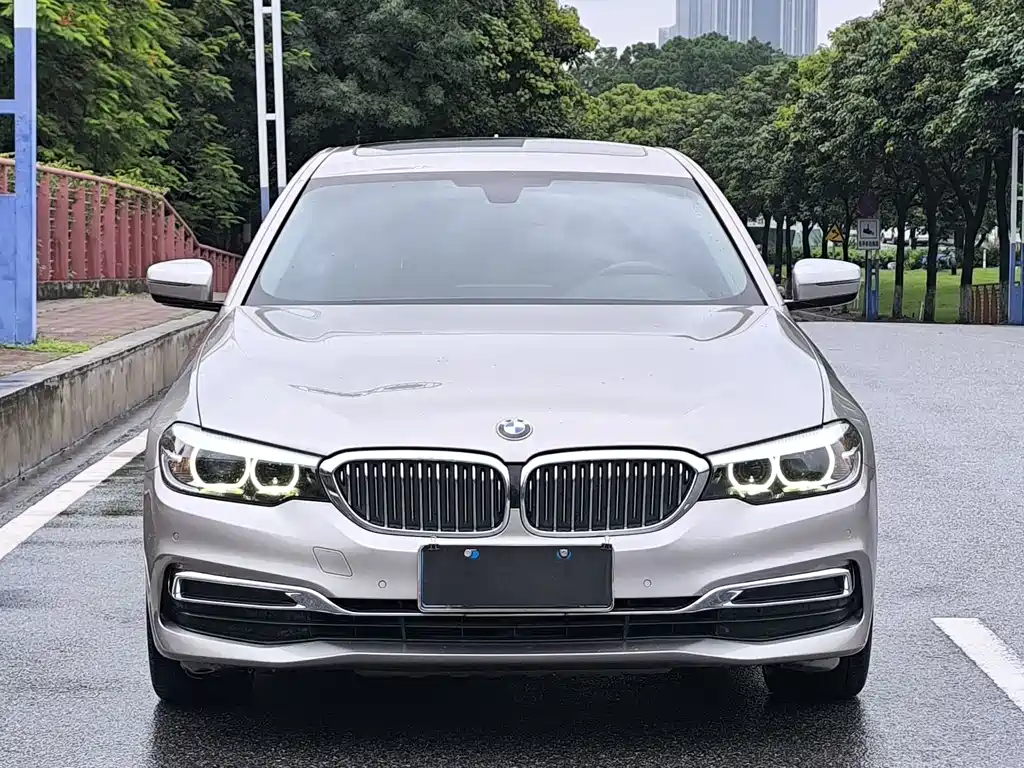 BMW 5 Series 5 2019 525Li Luxury