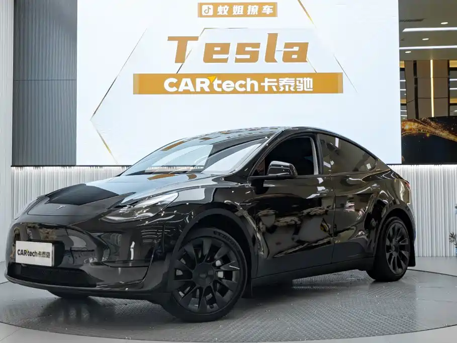 Tesla Model Y — миниатюра 2