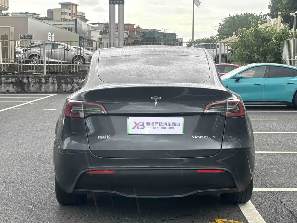 Tesla Model Y — миниатюра 8