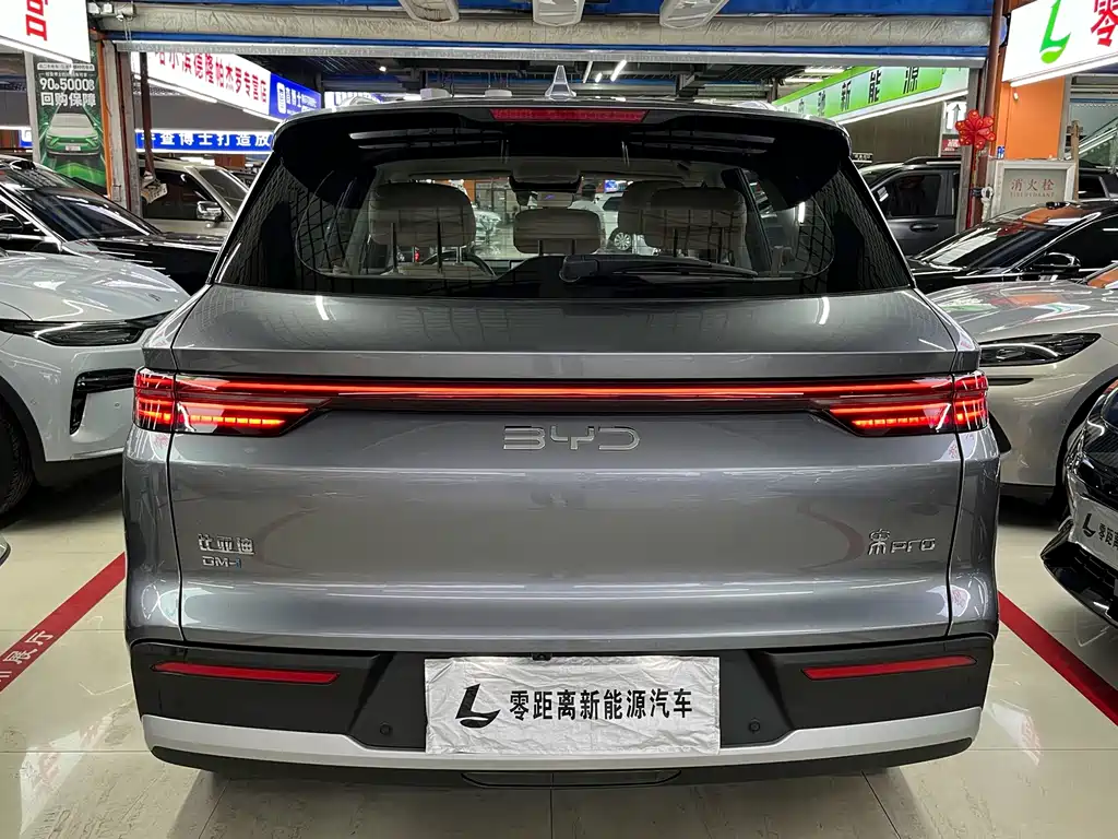 BYD Pro New Energy - фото 5