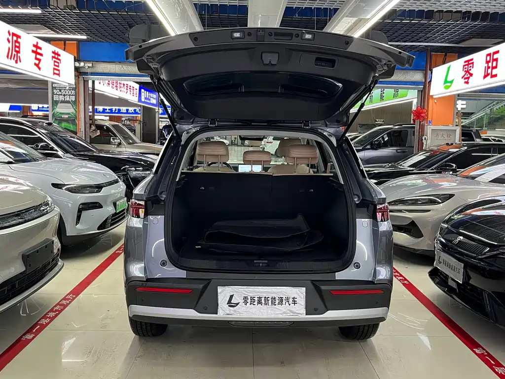 BYD Pro New Energy - фото 16