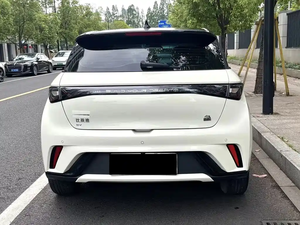 BYD Dolphin 2023 420km Freedom