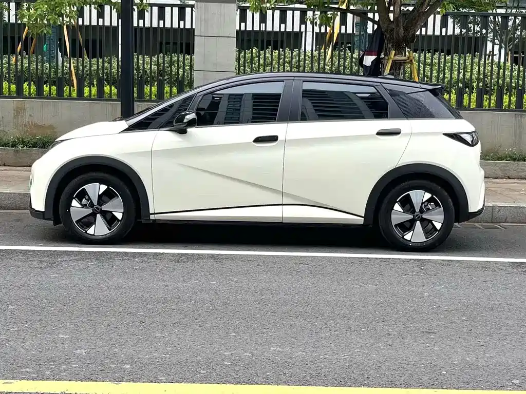 BYD Dolphin 2023 420km Freedom