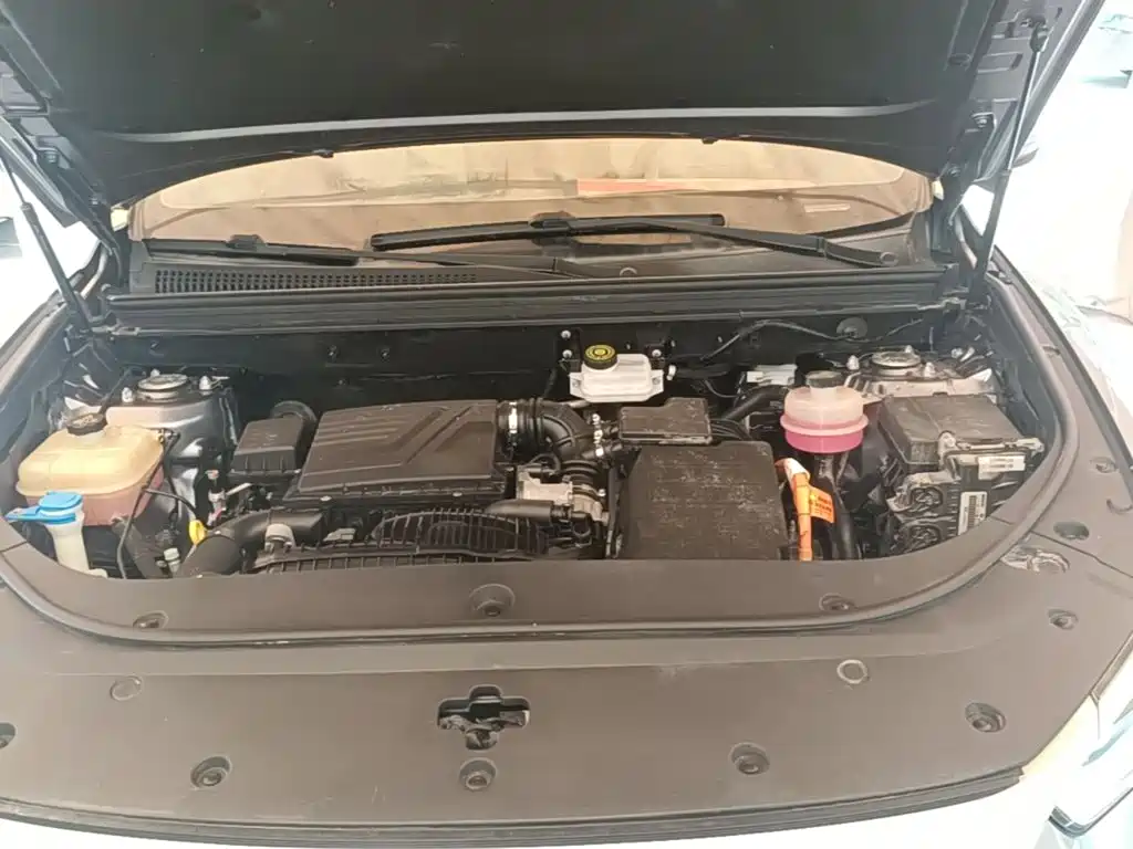 BYD Pro New Energy — миниатюра 20