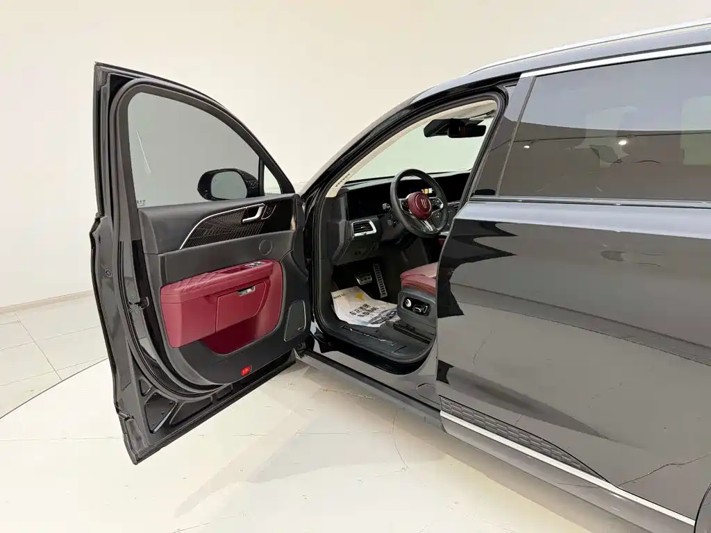 Hongqi Hongqi E-HS9 — миниатюра 13