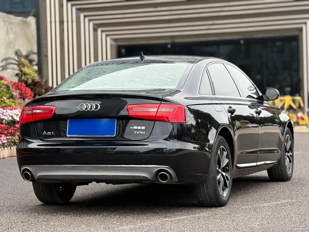 Audi A6L TFSI Million Anniversary Smart Leader Type, фото 15