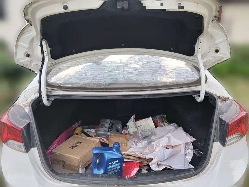 Hyundai Elantra Langdong — миниатюра 10